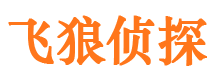 安县捉小三公司